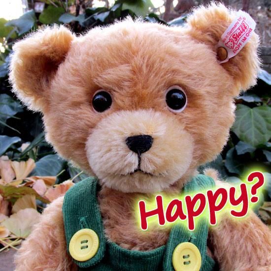 Amazon.co.jp: EDEN社 CORDUROY くまのコールテン ぬいぐるみ