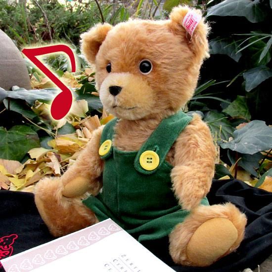 ☆EDEN社☆「CORDUROY くまのコールテン ぬいぐるみ」☆絵本との