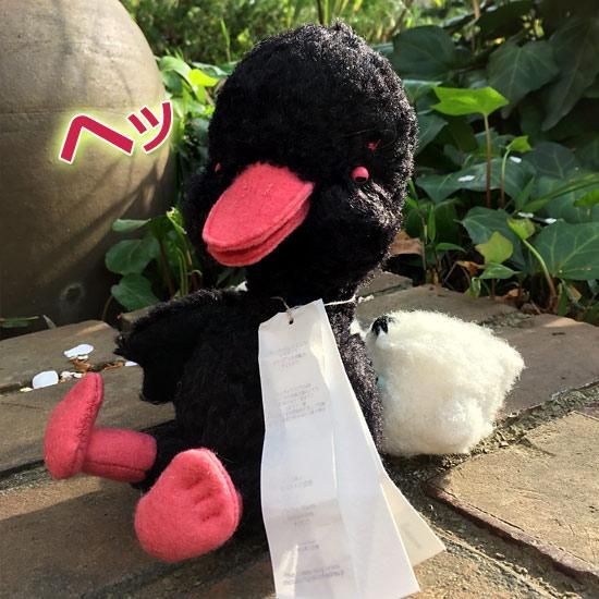 黒田有里さんのブランド ” 黒ねこ事務所（ queroneco