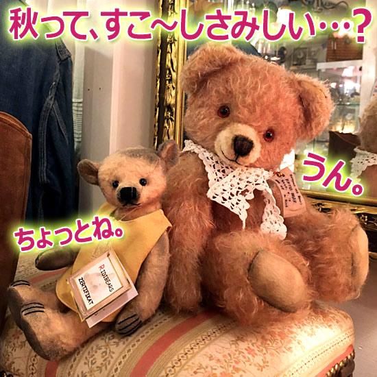 KEITA BEAR さんの犬のぬいぐるみ　ケイタベア KEITA BEAR さんの犬のぬいぐるみ ケイタベア