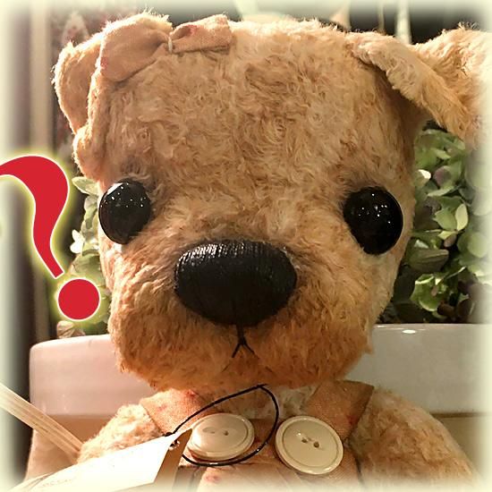 テディベアアーティスト オカダマナミ curio bear ハリネズミ