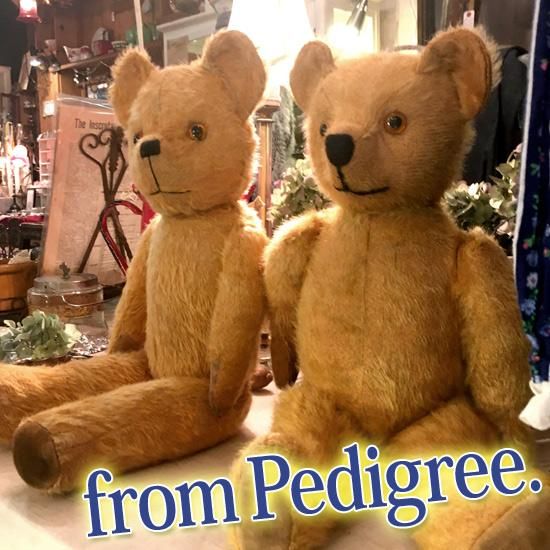 イギリス1950年代 ＊ ” ペディグリー・ソフト & トイズ