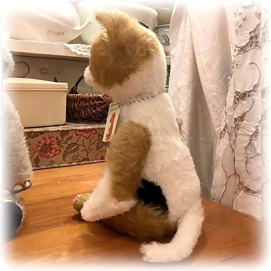 大國早苗さんのブランド * ” Whim Bear ” *「Aimee 大國早苗さんのブランド * ” Whim Bear ” *「Aimee