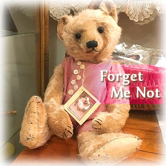 あの有名通販サイト 希少 フォーゲットミーノットベア Forget me not