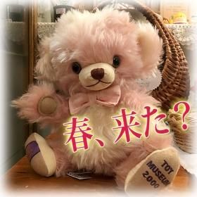 メリーソート◇チーキー グリーン テディベア パンキンヘッド パンキー