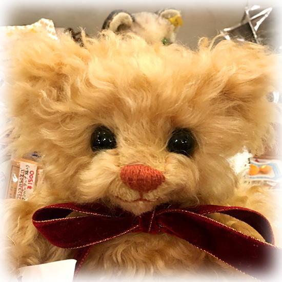 国内作家様　可愛いわんちゃん　モヘア　ケイタベア とことこお散歩シリーズ わんちゃん用 お洋服 《おしゃれケープ