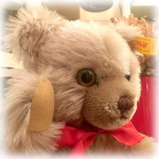R John Wright Teddy Roosevelt 言わし MISSISSIPPI BEAR HUNT R John Wright Teddy Roosevelt 言わし MISSISSIPPI BEAR HUNT