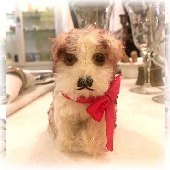 シュタイフ社1949 69年 10cm シルバーボタンつき こいぬのモリーちゃん Molly Puppy 英 Molly Junghund 独 A 97 テディベア 古着 アンティーク専門店のレッドバロウ シュタイフ社1949 69年 10cm シルバーボタンつき こいぬのモリーちゃん Molly Puppy 英 Molly Junghund 独 A 97 テディベア 古着 アンティーク専門店のレッドバロウ