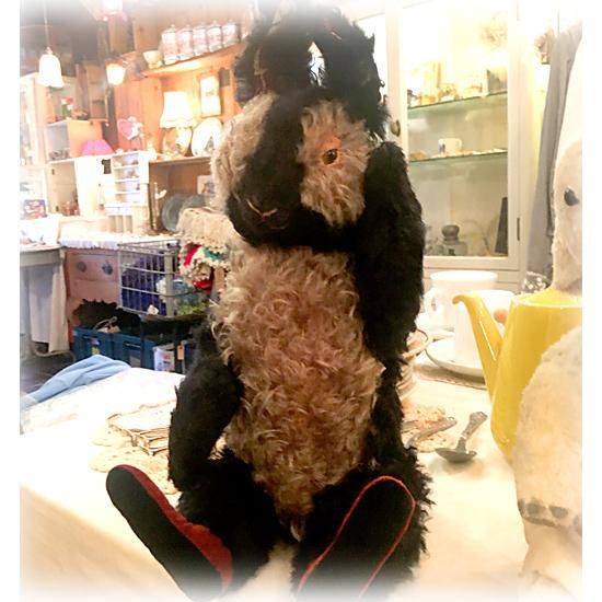 大國早苗さんのブランド * ” Whim Bear ” *「 Nate 大國早苗さんのブランド * ” Whim Bear ” *「 Nate