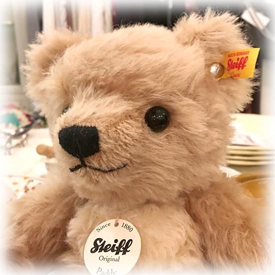 2018年生まれ・黄タグ ＊「 パディ ＊ Paddy 」＊ リアル