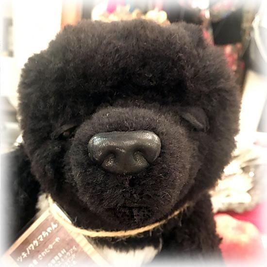 さわだゆーやさんのブランド ” Puni Puni Bear ” * 「ツキノワグマちゃん」* もっふもふの漆黒のアルパカ * 6ジョイント * 腕が自由に曲げられマス☆【 A-2136 】 - テディベア&欧米の古着&アンティーク専門店のレッドバロウ さわだゆーやさんのブランド ” Puni Puni Bear ” * 「ツキノワグマちゃん」* もっふもふの漆黒のアルパカ * 6ジョイント * 腕が自由に曲げられマス☆【 A-2136 】 - テディベア&欧米の古着&アンティーク専門店のレッドバロウ