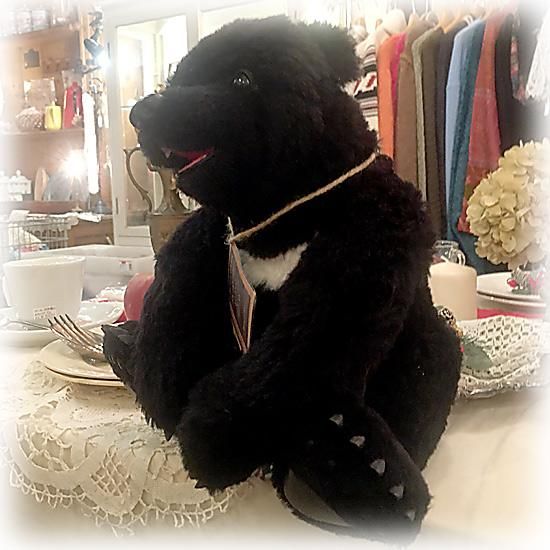 さわだゆーやさんのブランド ” Puni Puni Bear