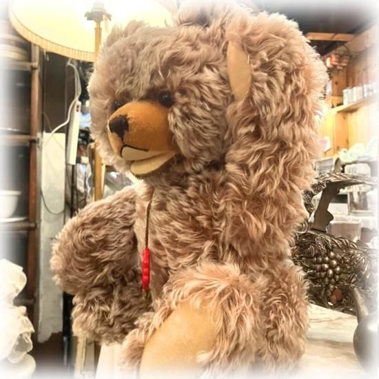 テディハーマン beatrice テディベアオブウィットニー テイクス