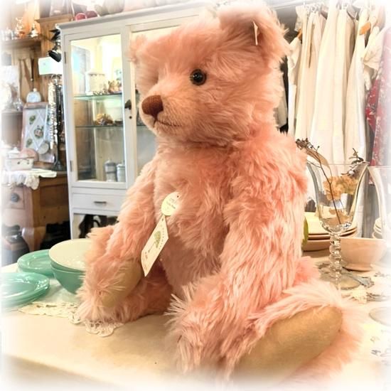 1994年生まれ *「 テディローズ 1927 * Teddy Rose 1927 1994年生まれ *「 テディローズ 1927 * Teddy Rose 1927