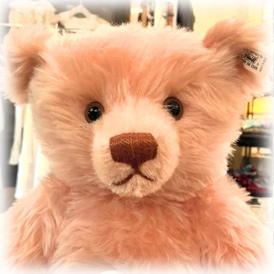 1994年生まれ *「 テディローズ 1927 * Teddy Rose 1927 1994年生まれ *「 テディローズ 1927 * Teddy Rose 1927
