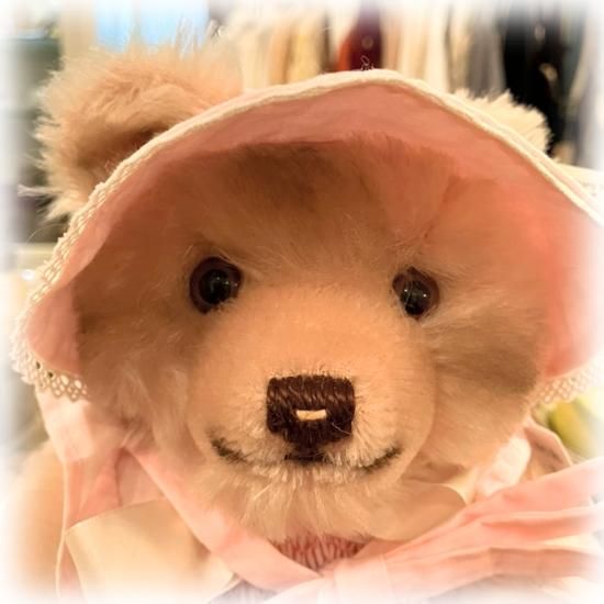 シュタイフ ジャッキーローズ マイドールハウス テディベア 1990年 シュタイフ ジャッキーローズ マイドールハウス テディベア 1990年