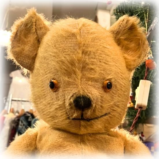 イギリス1950年代 ＊ ” ペディグリー・ソフト & トイズ / Pedigree