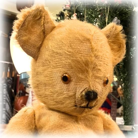 イギリス1950年代 ＊ ” ペディグリー・ソフト & トイズ / Pedigree