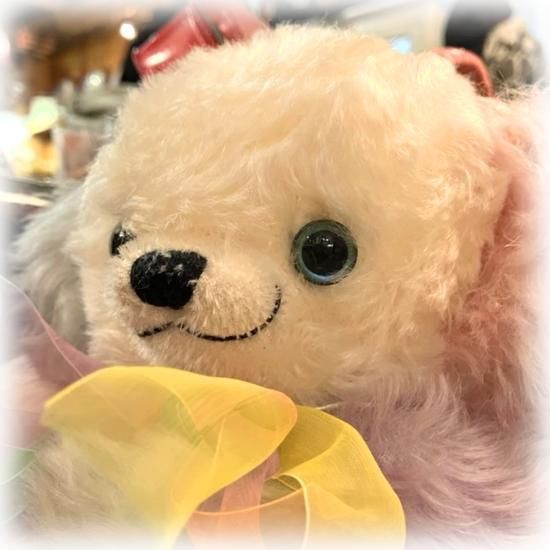 ☆ 初代「レインボー・チーキー ☆ Rainbow Cheeky 」☆ 2004年