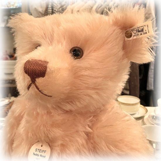 1994年生まれ ＊「 テディローズ 1927 ＊ Teddy Rose 1927