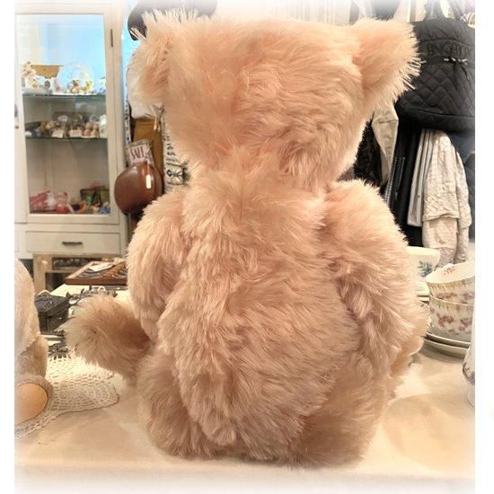 1994年生まれ ＊「 テディローズ 1927 ＊ Teddy Rose 1927