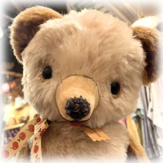ヴィンテージ DDRベア パンダ テディベア 東ドイツ | iichi 日々