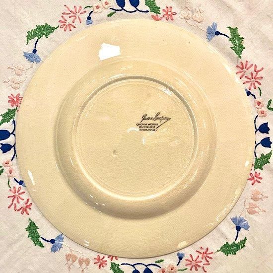 スージークーパー リースボーダー ディナープレート25cm
