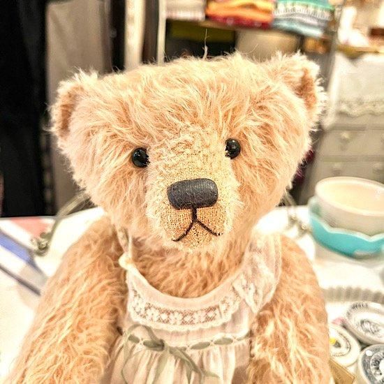 オランダの作家 * ジェーン・ヒュメさん *【 Francesca オランダの作家 * ジェーン・ヒュメさん *【 Francesca