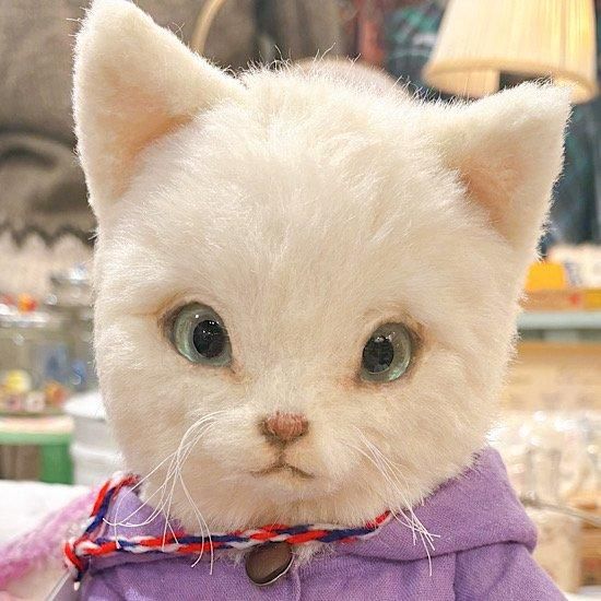 和田佳太さんのブランド * 和田佳太さんのブランド *