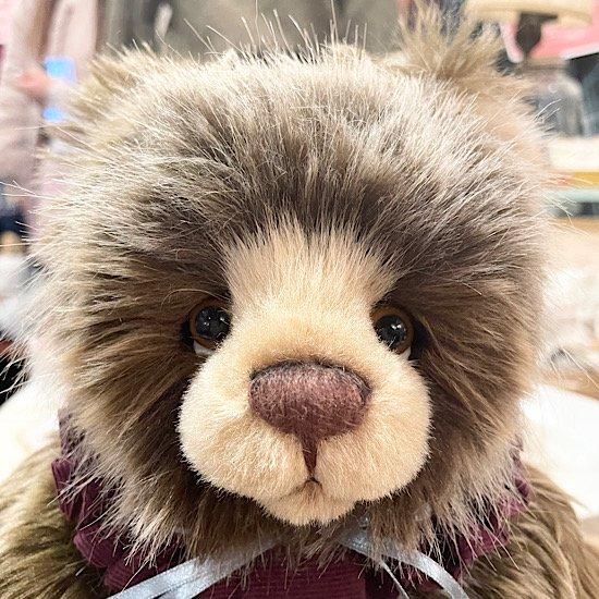 テディベア　ベアポチョ 2021年 ＊ イギリス ＊ 