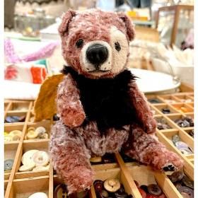 ˰वΥ֥   nico 5   ͤΥ㡼ߥ󥰤ʤäȤ  22cm  椵Υ󥳡 A-2516 <img class='new_mark_img2' src='https://img.shop-pro.jp/img/new/icons11.gif' style='border:none;display:inline;margin:0px;padding:0px;width:auto;' />