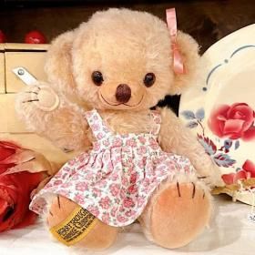  ٥ / Cheeky Isabella ס 2014ǯ  100ΤΤ  10  ԡΥ塼ȥ M-1843 <img class='new_mark_img2' src='https://img.shop-pro.jp/img/new/icons11.gif' style='border:none;display:inline;margin:0px;padding:0px;width:auto;' />