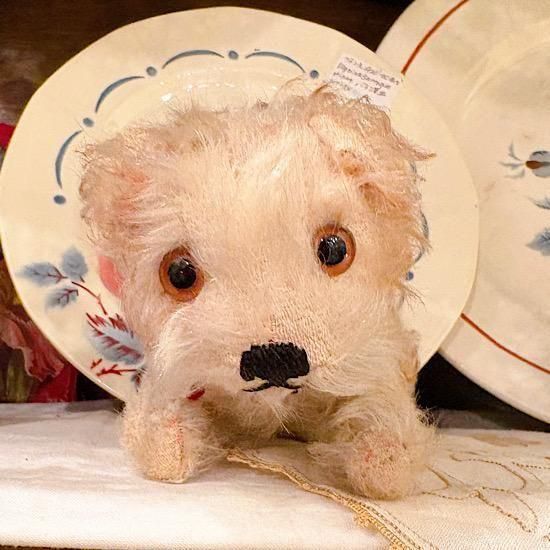 仔犬のMOLLY シュタイフドッグ 15cm ヴィンテージ ヴィンテージ