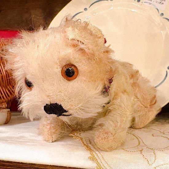 シュタイフ社1949〜'69 ＊「 子犬のモリー / Molly Puppy 」＊ 17cm