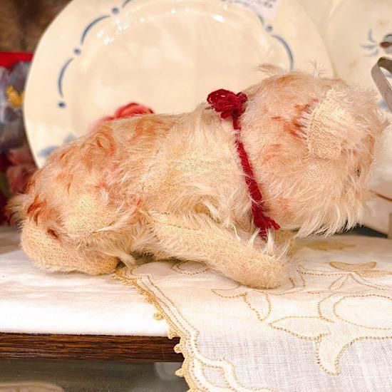 シュタイフ社1949〜'69 ＊「 子犬のモリー / Molly Puppy 」＊ 17cm