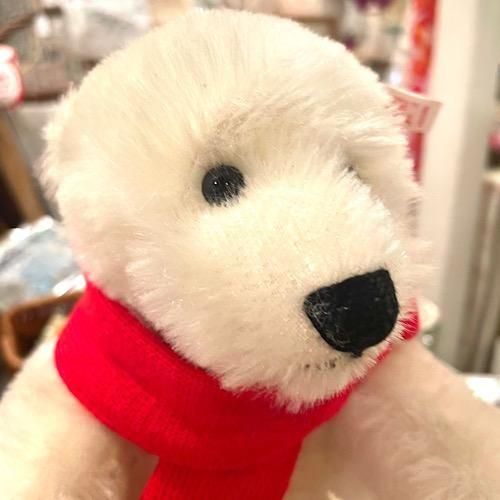 1995年 ＊ ギンゲンの