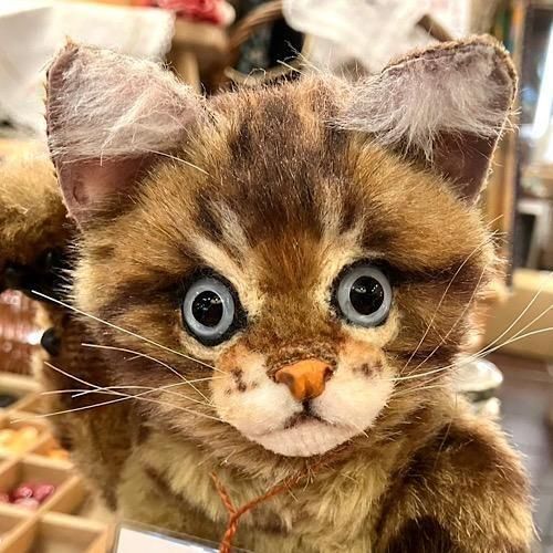 佐藤真也さんのブランド ” TEDDYPAPA ” さんより ＊「仔猫