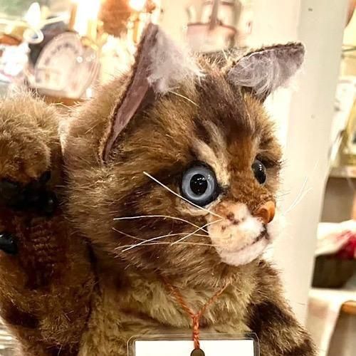 佐藤真也さんのブランド ” TEDDYPAPA ” さんより ＊「仔猫