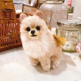 ƣ褦Υ֥  Piyo-Bear    ݥ˥ ס ¹12cm  դäդΥѥ¤꥿ס  A-2648 <img class='new_mark_img2' src='https://img.shop-pro.jp/img/new/icons11.gif' style='border:none;display:inline;margin:0px;padding:0px;width:auto;' />