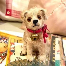 奿ռ1949'69ǯ  10cm  ҸΥ꡼ Molly Puppy ()  Molly Junghund () ס S-2142 <img class='new_mark_img2' src='https://img.shop-pro.jp/img/new/icons11.gif' style='border:none;display:inline;margin:0px;padding:0px;width:auto;' />