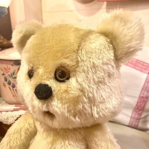 Frederic くまのBOO(ボー)ちゃん　貝戸由希さん フレデリック くま BOO ボーちゃん Frederic 貝戸由希さん