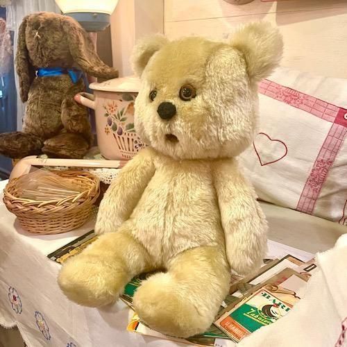 貝戸由希さん ＊ ”Frederic ＊ フレデリック “ ＊ 眠そうな顔が