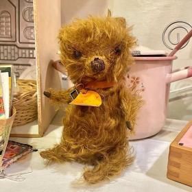 ҤΥ֥  AIKO BEAR  ֥饦Υ٥  22cm  եåեΥѡ꡼إ A-2574 