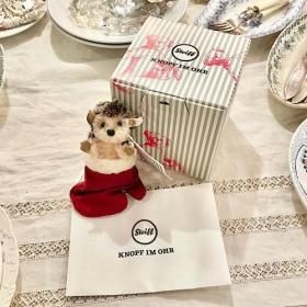 2021ǯ  󥿡ɥ꡼ ֥ϥͥߡ󡦥ߥȥ󡦥ʥ / Hedgehog in a Mitten Ornamentס S-2160 <img class='new_mark_img2' src='https://img.shop-pro.jp/img/new/icons11.gif' style='border:none;display:inline;margin:0px;padding:0px;width:auto;' />