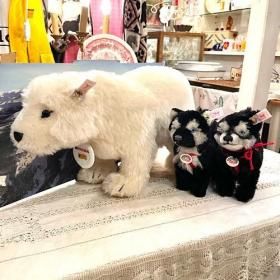 2000ǯ �� �ɥ��ĤΥ᡼���� 