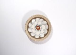 ɴС11cm᥿ץ졼ȡäդ