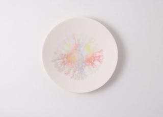 moca plate(S)cͭ