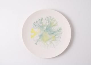 moca plate(M)aͭ