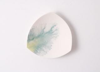 moca tray()dͭ