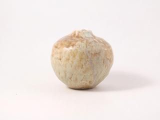 <img class='new_mark_img1' src='https://img.shop-pro.jp/img/new/icons7.gif' style='border:none;display:inline;margin:0px;padding:0px;width:auto;' />WEBŸ۰ޤþϤ